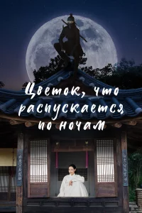 Цветок, что распускается по ночам 